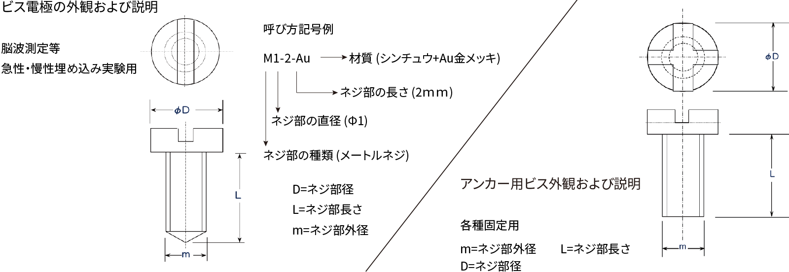 ビス電極の外観および説明