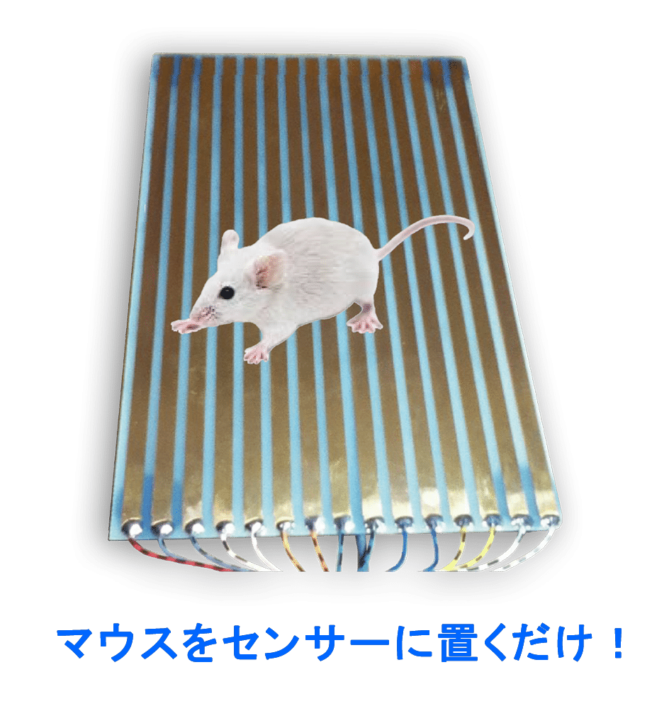 非侵襲的マウス心電図測定システム