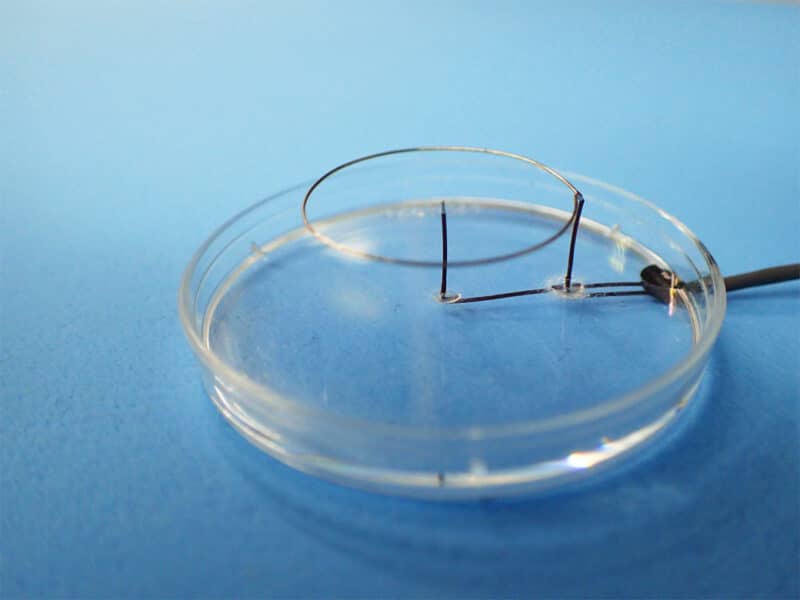 フィールド刺激用電極先端部