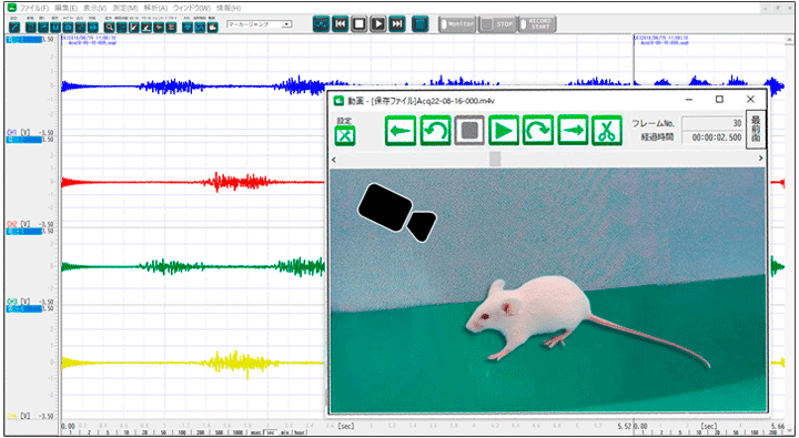 記録した波形や動画の再生画面