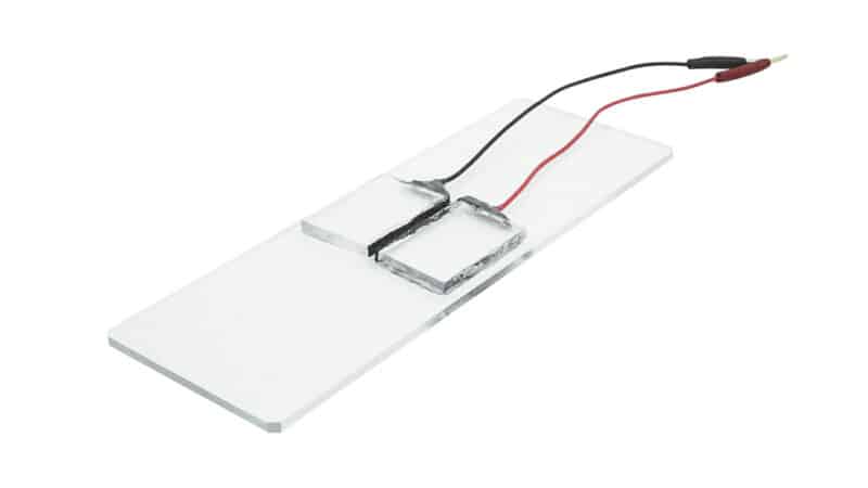 エレクトロポレーション、イオン導入、電気穿孔法、PEDOT、カーボン電極