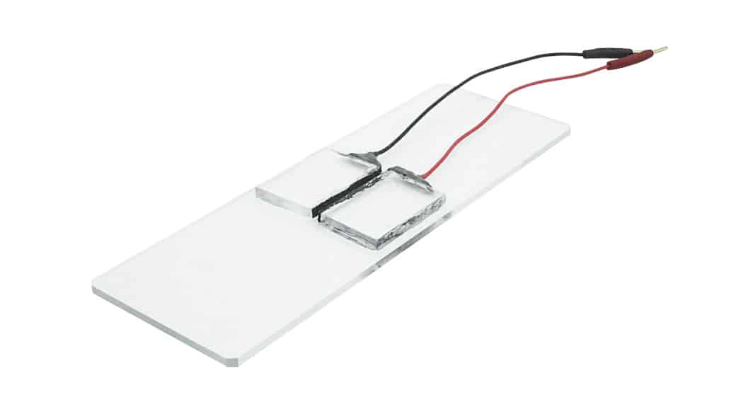 エレクトロポレーション、イオン導入、電気穿孔法、PEDOT、カーボン電極