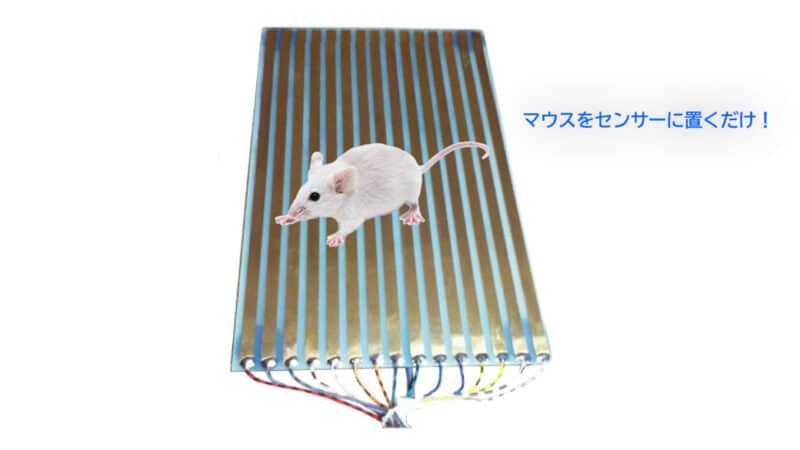 心拍測定、小動物生理学、バイタルサイン、心電図（ECG）、非侵襲測定、生体モニタリング、ストレス評価、行動解析、実験動物管理